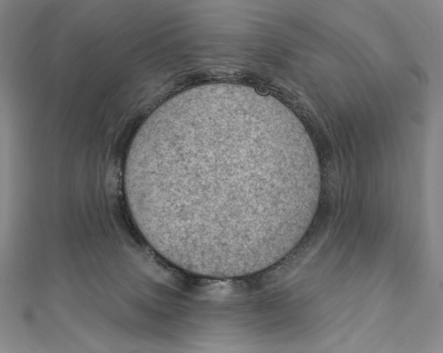 X0000112780083200909031636