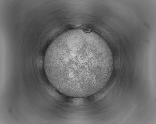 X0000112780085200909031636