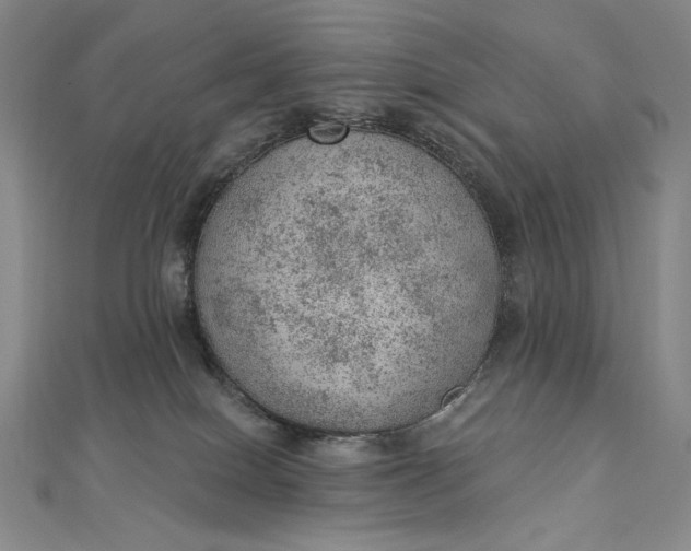 X0000112780086200909031636