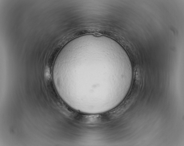 X0000112780089200909031636