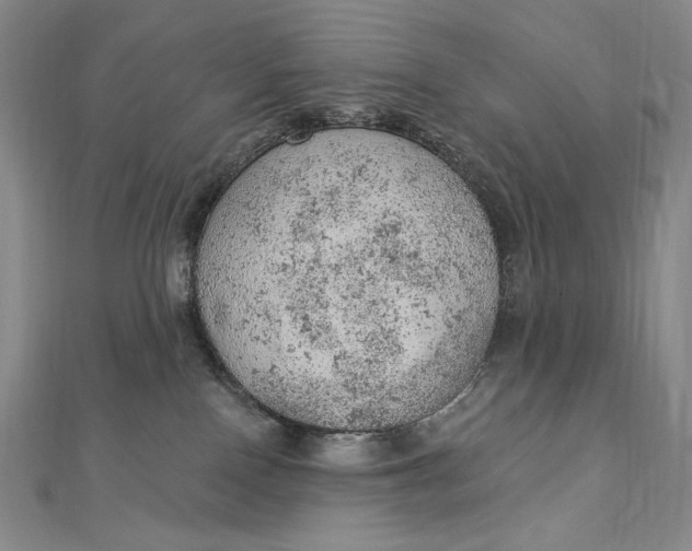 X0000112780090200909031636