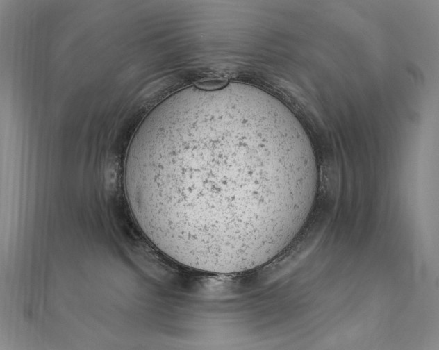 X0000112780092200909031636