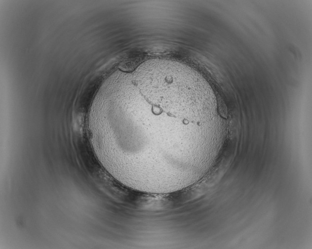 X0000112780093200909031636