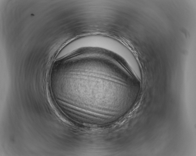 X0000112780097200909031636