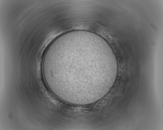 X0000112780098200909031636