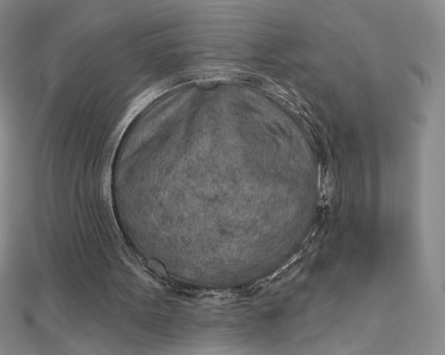 X0000112780099200909031636