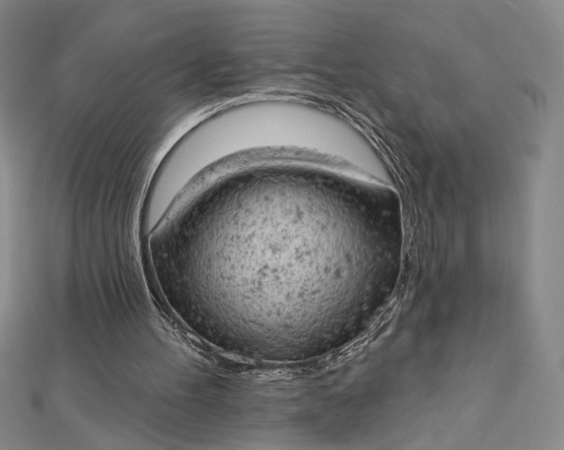 X0000112780100200909031636