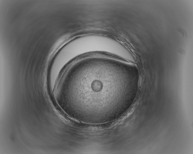 X0000112780101200909031636