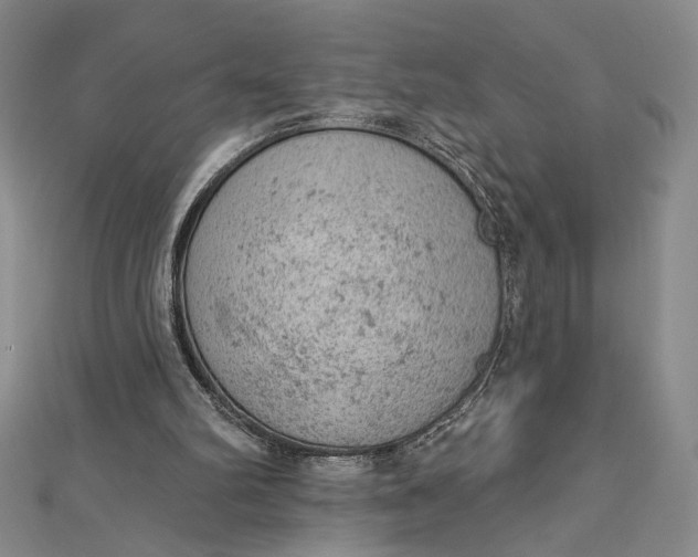 X0000112780102200909031636