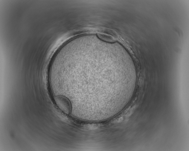 X0000112780103200909031636