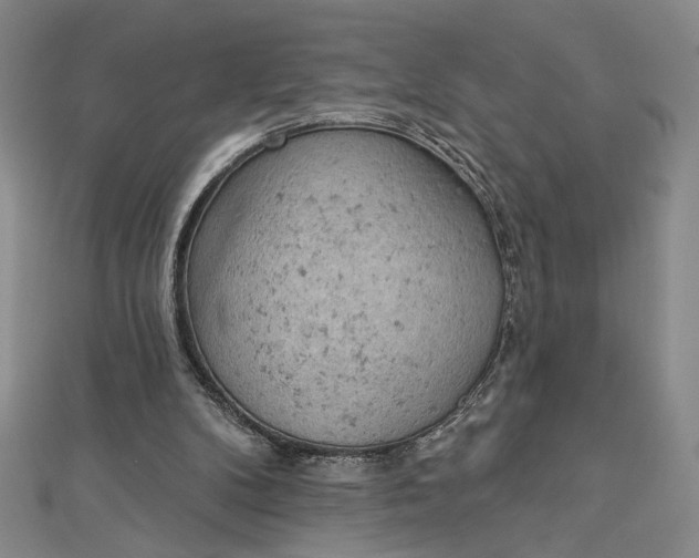 X0000112780104200909031636