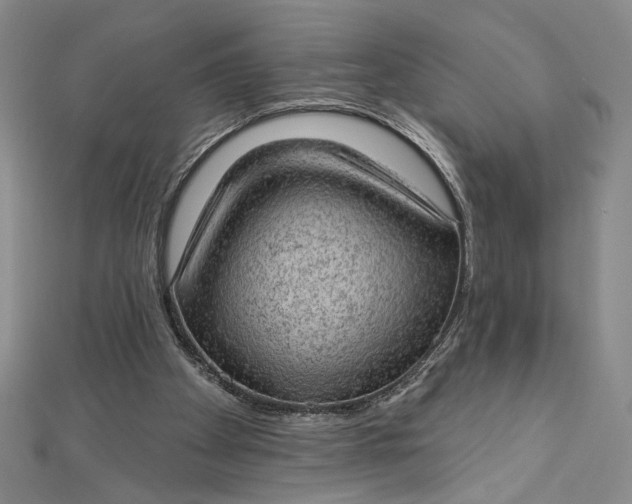 X0000112780105200909031636