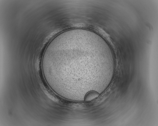 X0000112780106200909031636