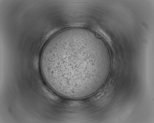 X0000112780107200909031636