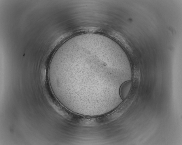 X0000112780110200909031636