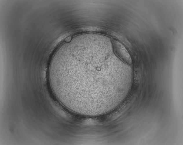 X0000112780111200909031636