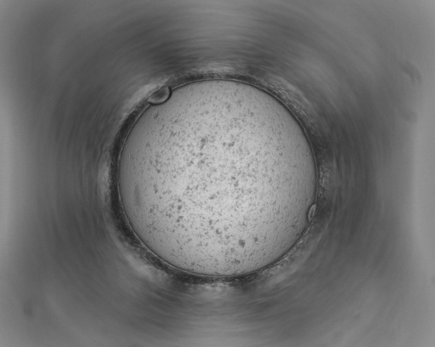 X0000112780112200909031636