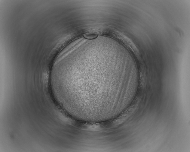 X0000112780113200909031636