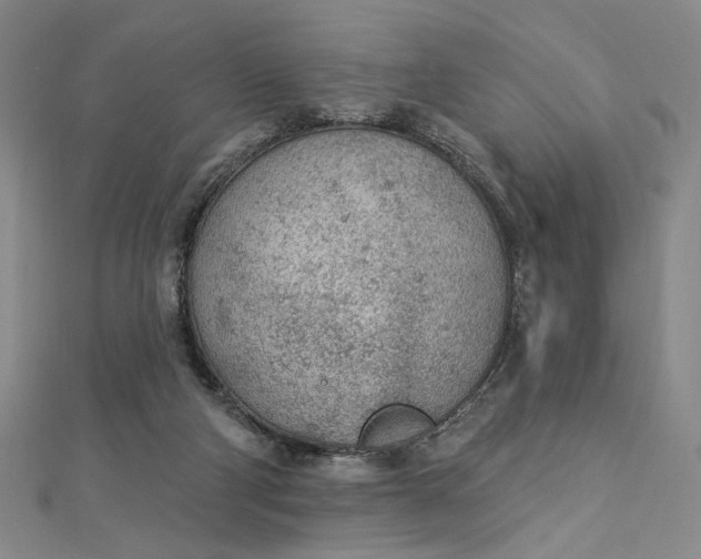 X0000112780114200909031636