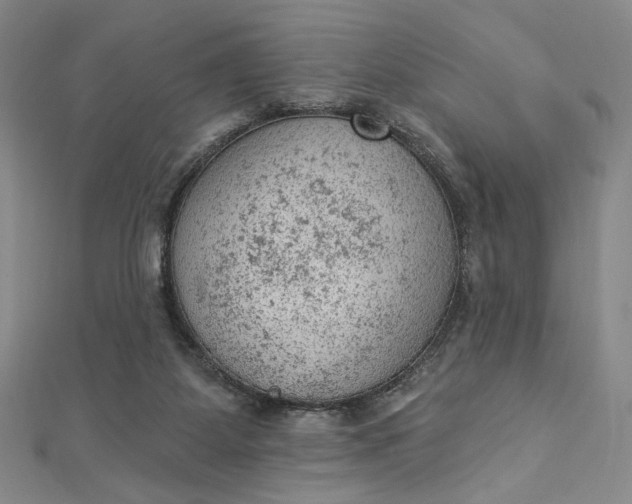 X0000112780115200909031636