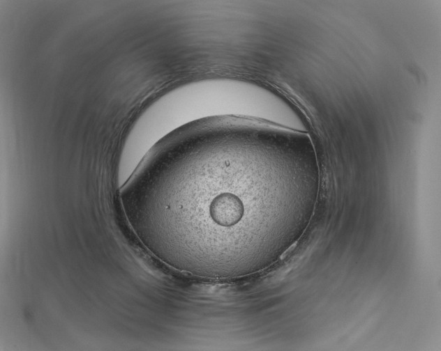 X0000112780117200909031636