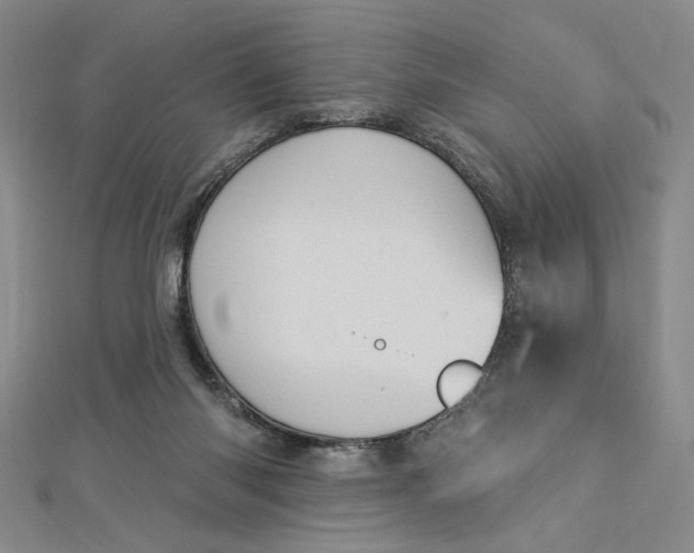 X0000112780118200909031636