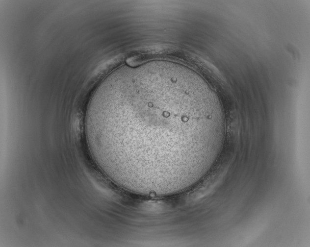 X0000112780119200909031636