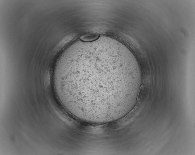 X0000112780120200909031636