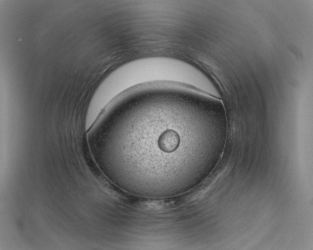 X0000112780121200909031636