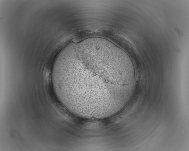 X0000112780123200909031636