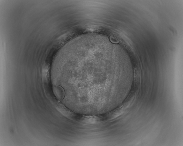 X0000112780127200909031636