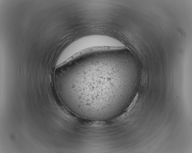 X0000112780128200909031636