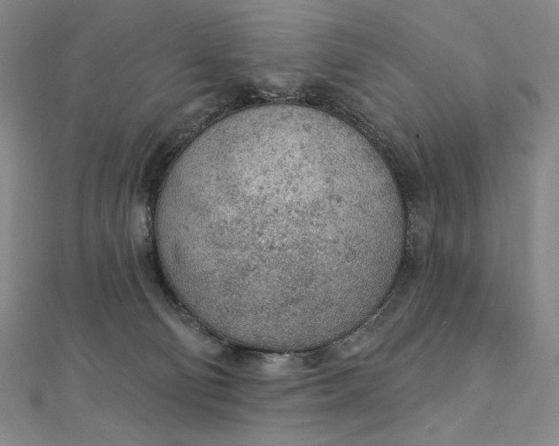 X0000112780130200909031635