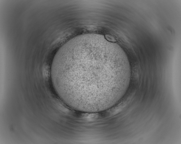 X0000112780135200909031635