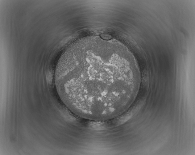 X0000112780139200909031635