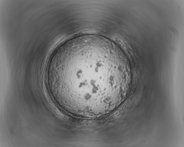 X0000112780145200909031635