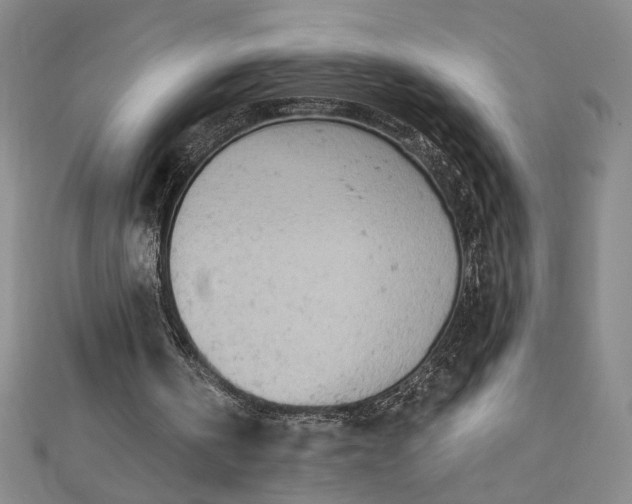 X0000112780146200909031635