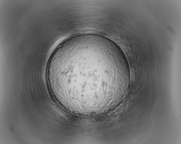 X0000112780147200909031635