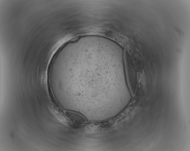 X0000112780148200909031635