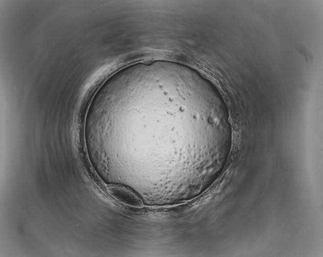 X0000112780149200909031635