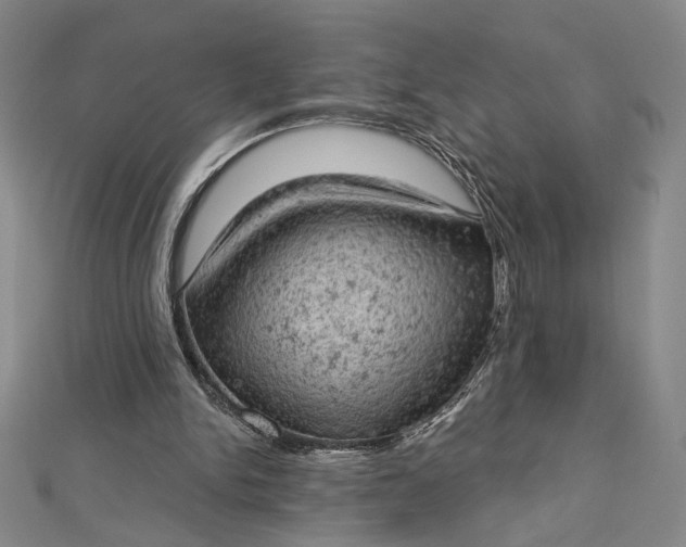 X0000112780150200909031635