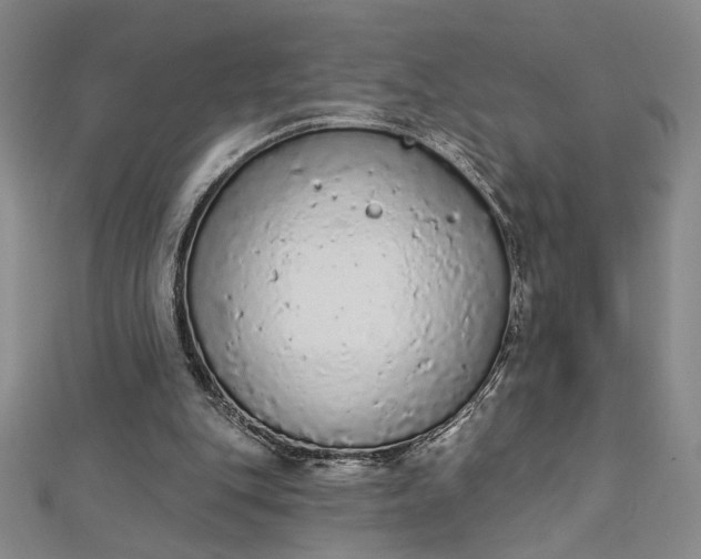 X0000112780151200909031635