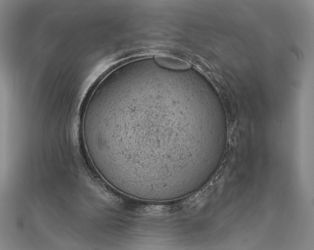 X0000112780152200909031635