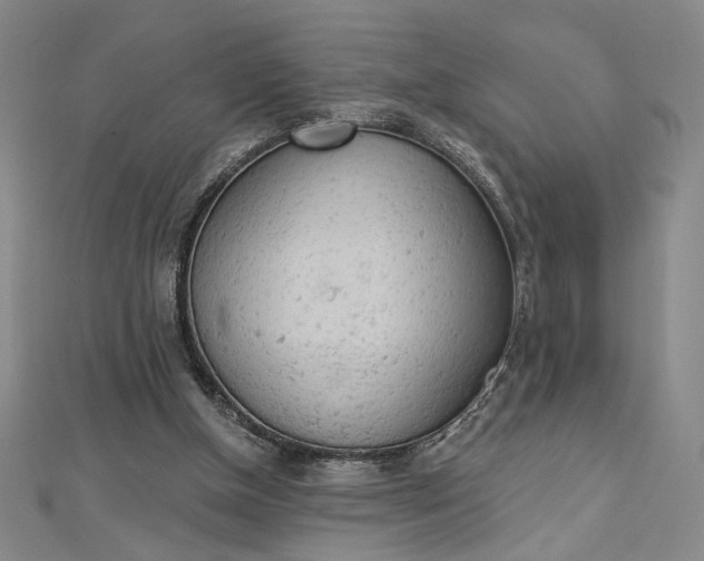 X0000112780154200909031635