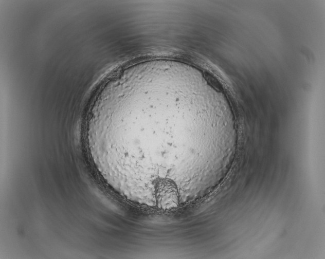 X0000112780155200909031635