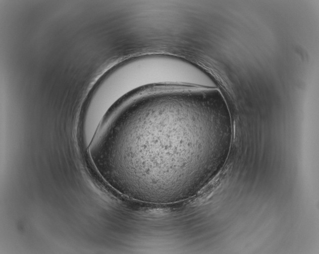 X0000112780156200909031635