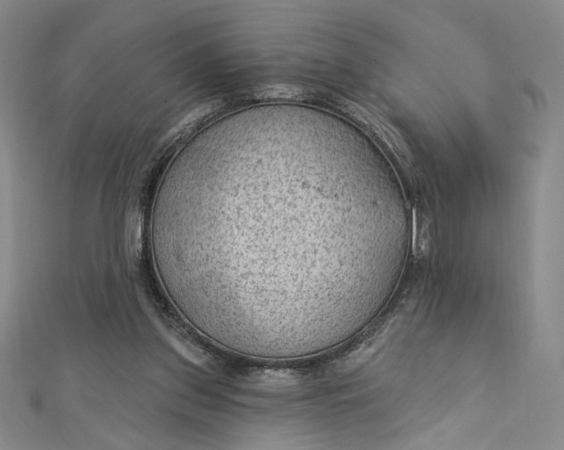 X0000112780157200909031635