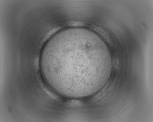 X0000112780159200909031635