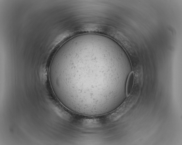 X0000112780160200909031635