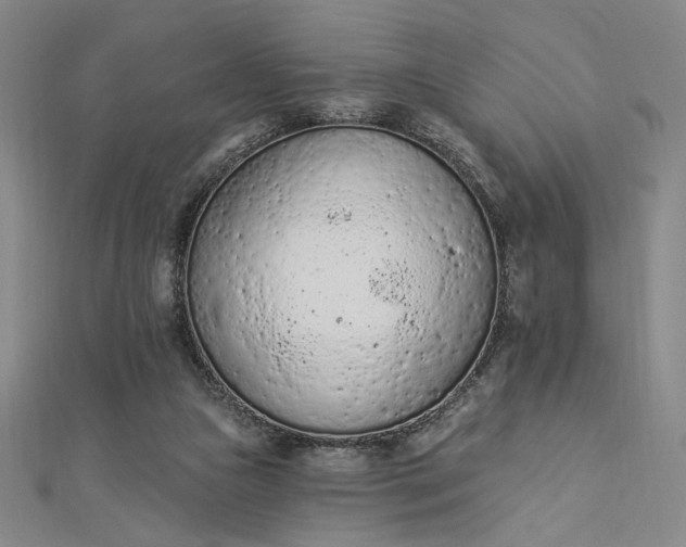 X0000112780161200909031635